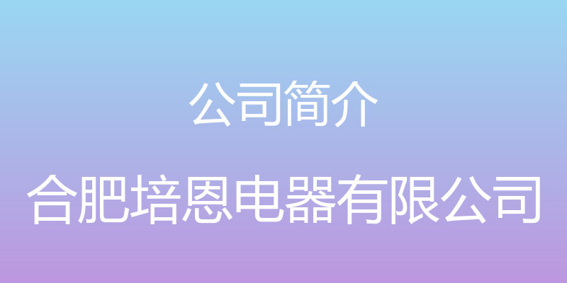 公司简介 - 合肥培恩电器有限公司